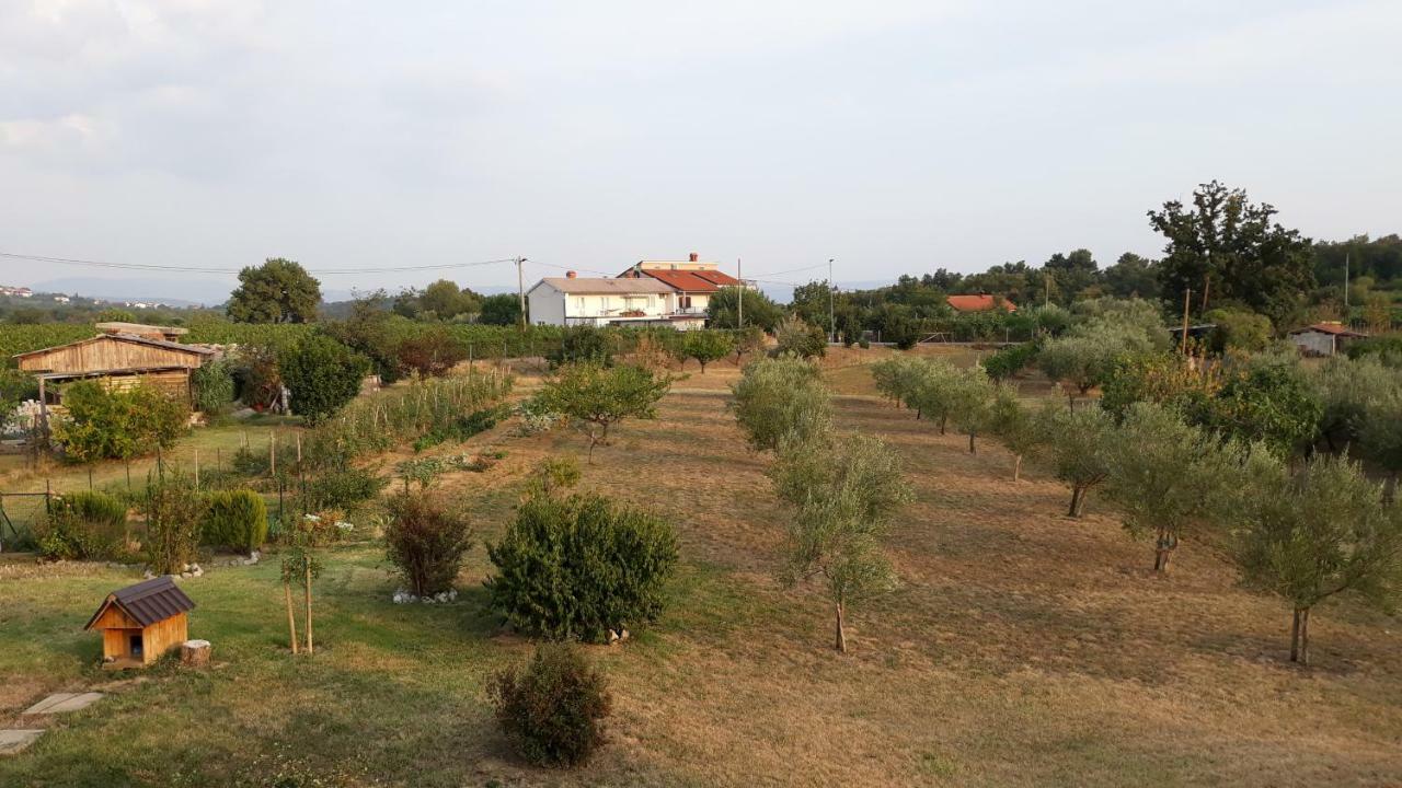 House Barizoni Villa Ankaran Exterior photo